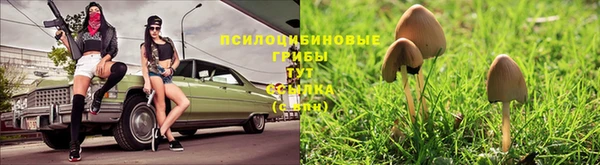 кокаин перу Арсеньев