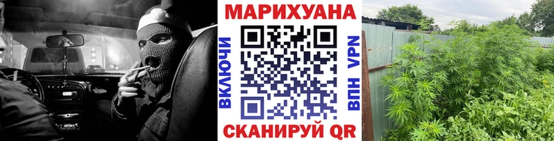 хочу   Асино  Конопля Amnesia 